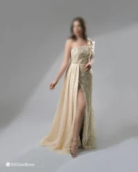 ماکسی شیک مجلسی - Image 16